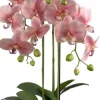 Intratuin kunstplant Vlinderorchidee roze D 18 H 85 cm
