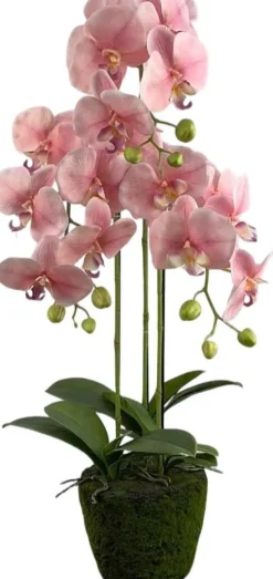 Intratuin kunstplant Vlinderorchidee roze D 18 H 85 cm