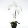 Intratuin kunstplant Vlinderorchidee wit D 27 H 115 cm