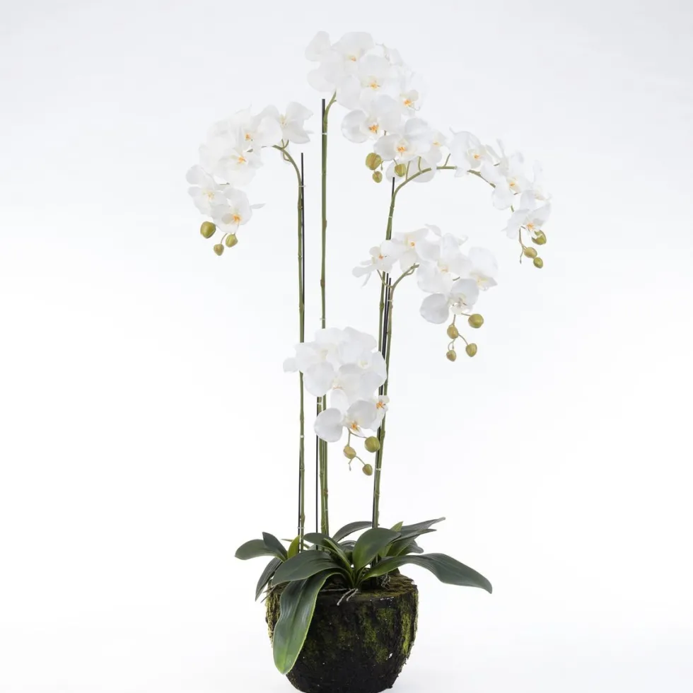 Intratuin kunstplant Vlinderorchidee wit D 27 H 115 cm