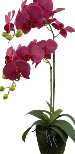 Intratuin kunstplant Vlinderorchidee paars D 15 H 70 cm