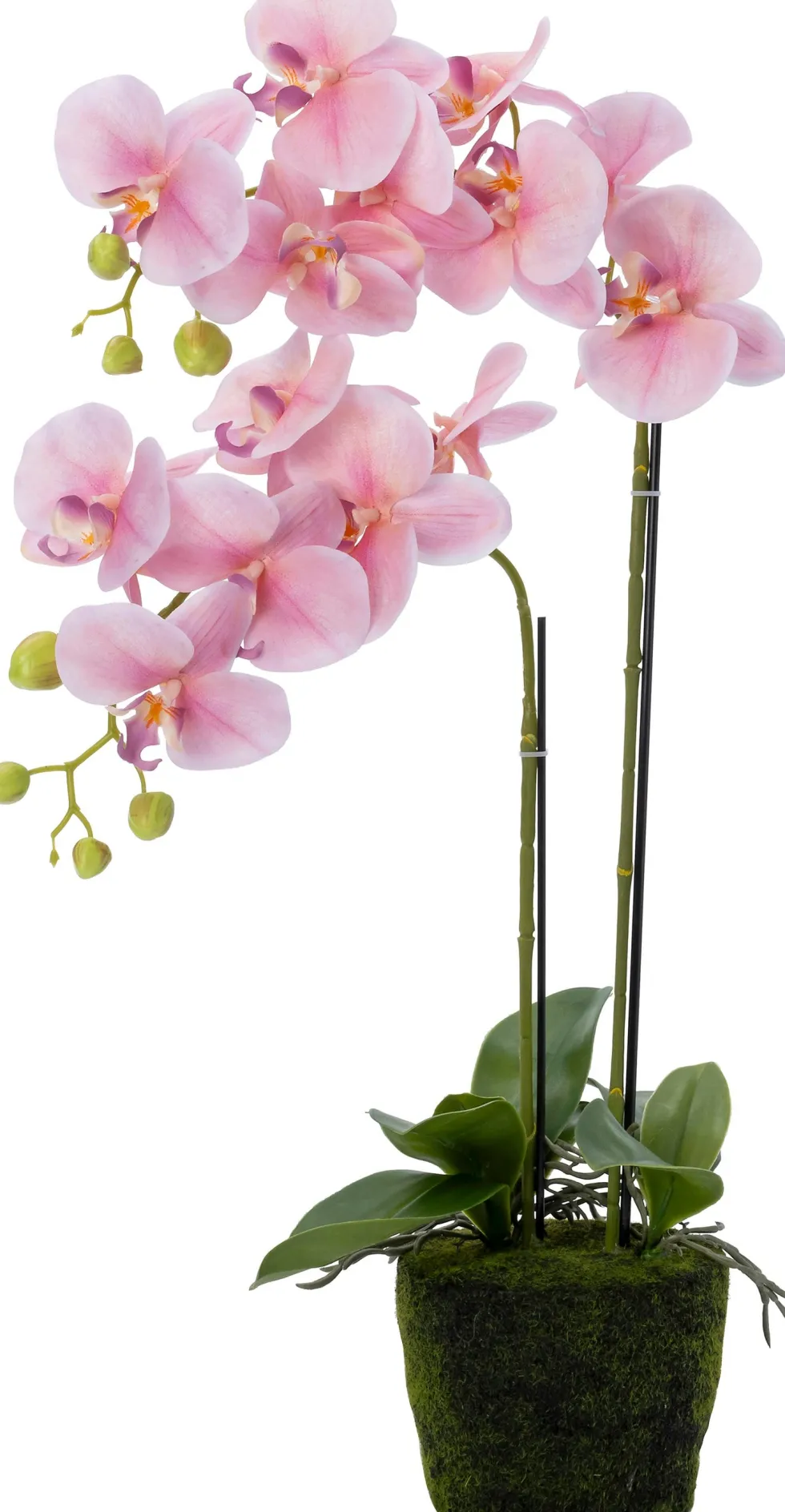 Intratuin kunstplant Vlinderorchidee roze D 15,5 H 70 cm
