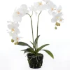 Intratuin kunstplant Vlinderorchidee wit D 15 H 67 cm