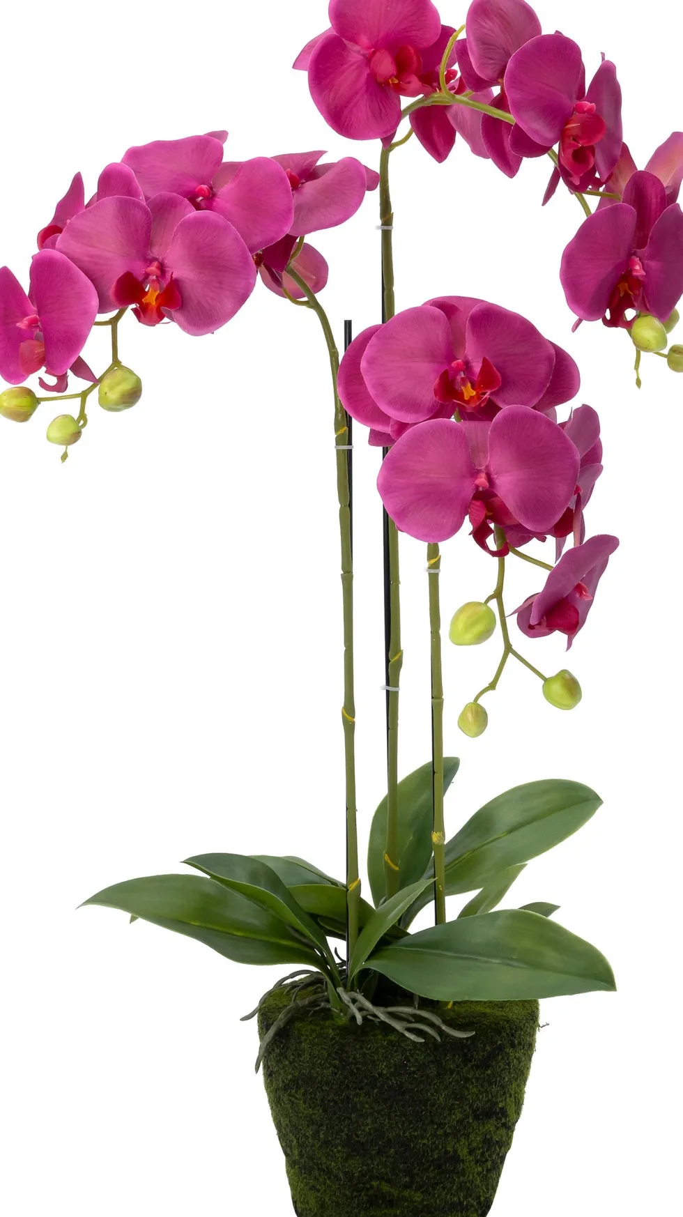Intratuin kunstplant Vlinderorchidee roze D 19 H 85 cm