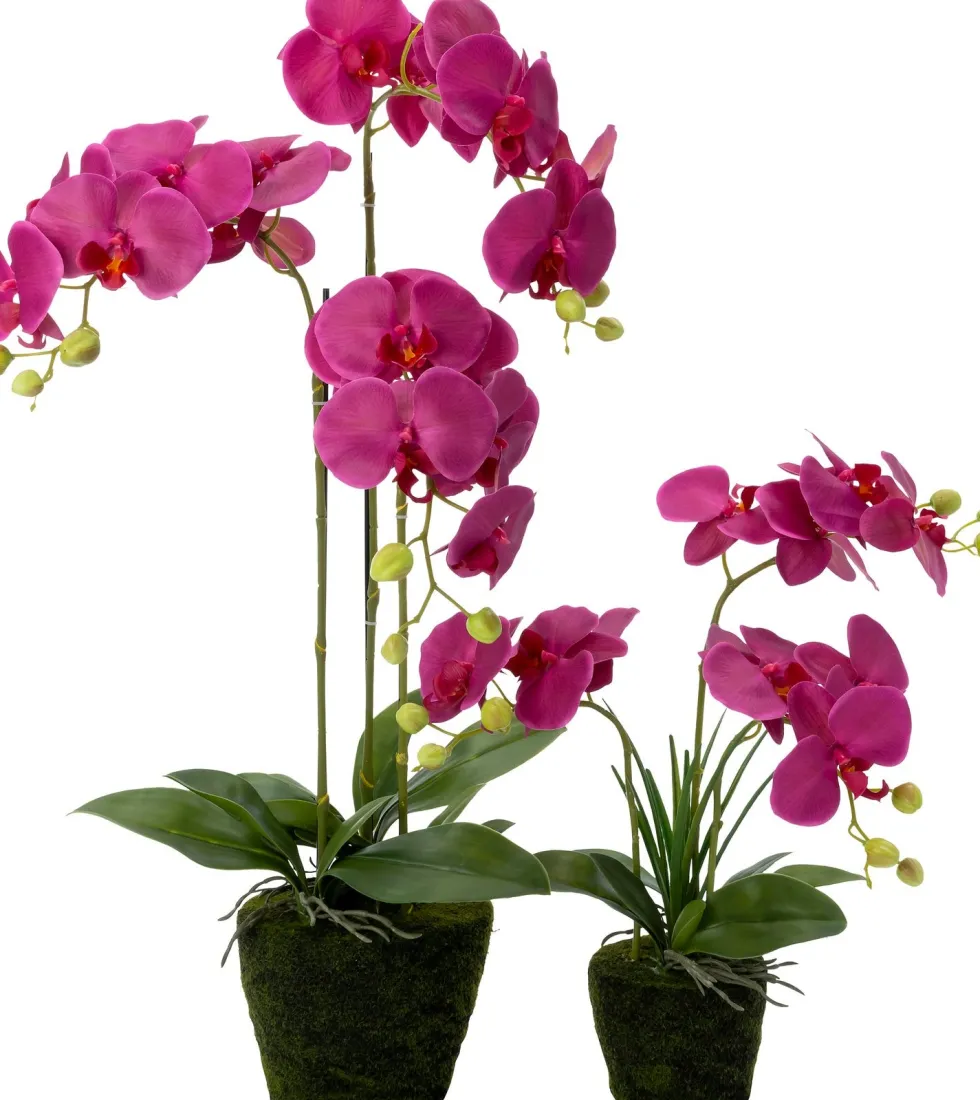 Intratuin kunstplant Vlinderorchidee roze D 19 H 85 cm