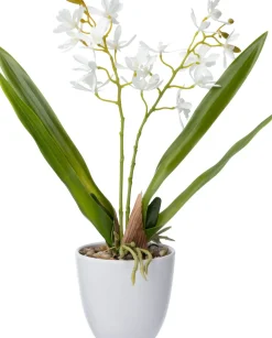 Intratuin kunstplant Vlinderorchidee wit D 10 H 37 cm