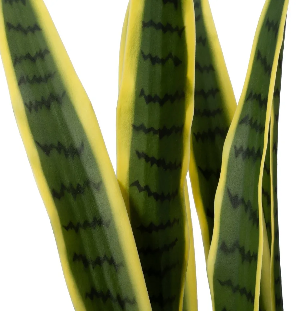 Intratuin kunstplant Vrouwentong geel / groen D 24 H 148 cm