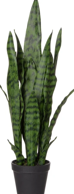 Intratuin kunstplant Vrouwentong D 12,5 H 43 cm