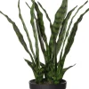 Intratuin kunstplant Vrouwentong H 61 cm