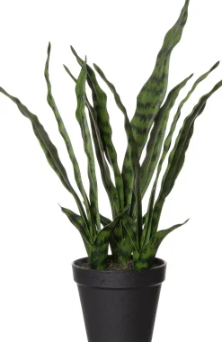 Intratuin kunstplant Vrouwentong H 61 cm