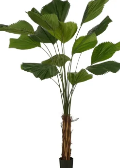 Intratuin kunstplant Waaierpalm H 210 cm