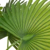 Intratuin kunstplant Waaierpalm H 80 cm