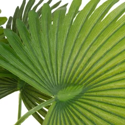 Intratuin kunstplant Waaierpalm H 80 cm