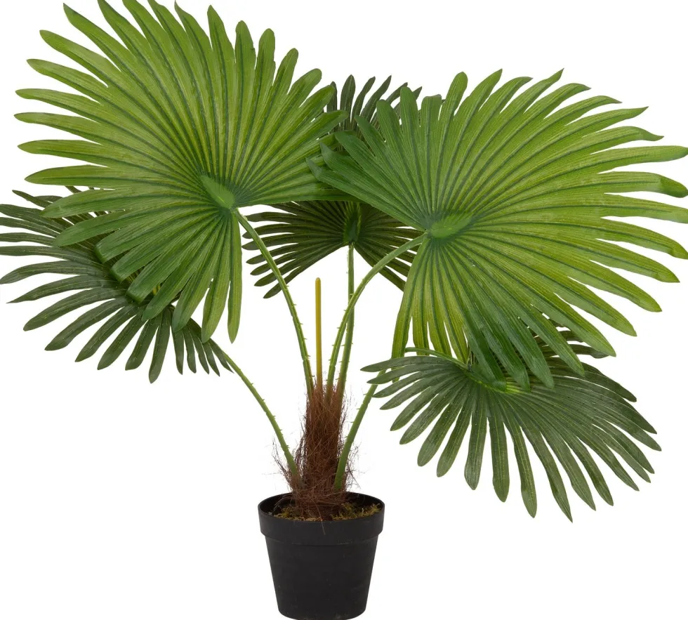 Intratuin kunstplant Waaierpalm H 80 cm