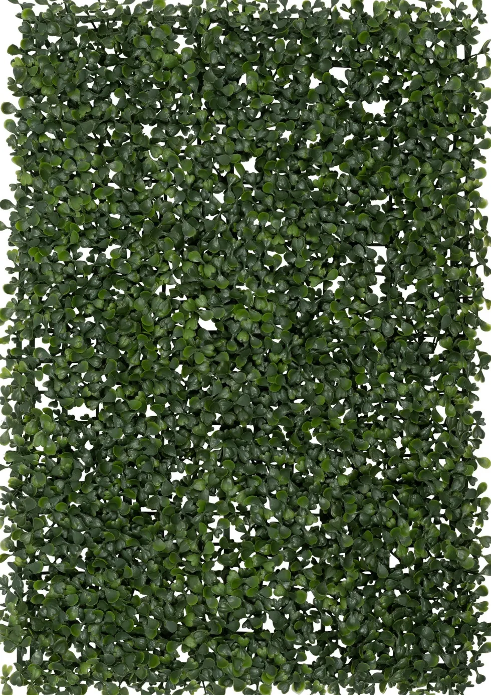 Intratuin kunstplant Wandpaneel Buxus L 40 B 60 cm