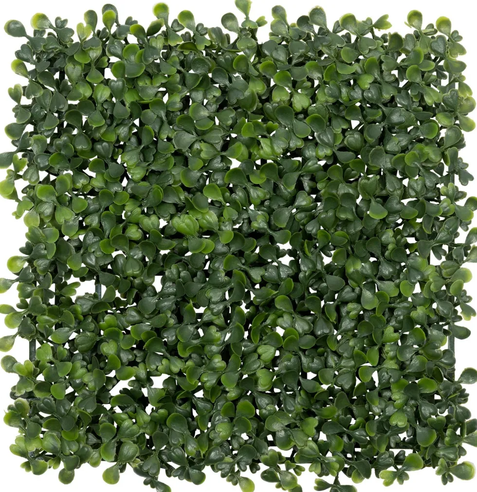Intratuin kunstplant Wandpaneel Buxus L 25 B 25 cm