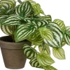 Intratuin kunstplant Watermeloenplantje H 20 cm