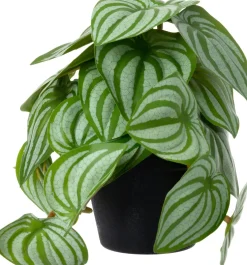Intratuin kunstplant Watermeloenplantje D 9 H 17 cm