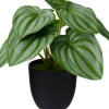 Intratuin kunstplant Watermeloenplantje D 7 H 16 cm