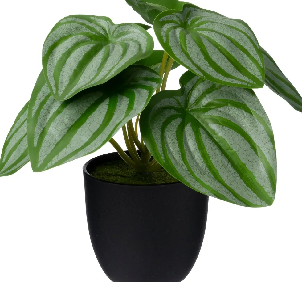 Intratuin kunstplant Watermeloenplantje D 7 H 16 cm