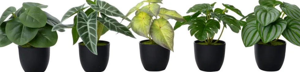 Intratuin kunstplant Watermeloenplantje D 7 H 16 cm