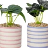 Intratuin kunstplant Watermeloenplantje roze D 7,5 H 13 cm