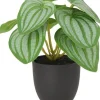 Intratuin kunstplant Watermeloenplantje groen / grijs D 7 H 16 cm