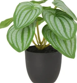 Intratuin kunstplant Watermeloenplantje groen / grijs D 7 H 16 cm