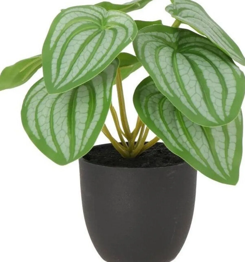 Intratuin kunstplant Watermeloenplantje groen / grijs D 7 H 16 cm