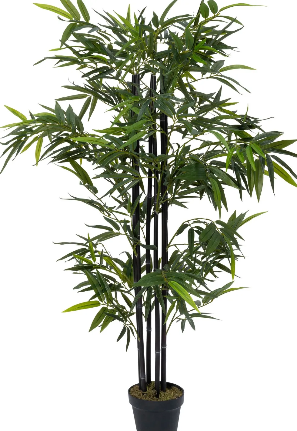 Intratuin kunstplant Zwarte bamboe zwart D 17 H 150 cm