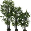 Intratuin kunstplant Zwarte bamboe zwart D 20 H 170 cm