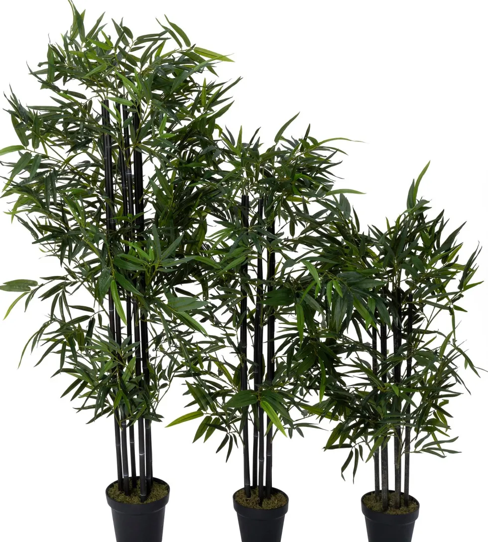 Intratuin kunstplant Zwarte bamboe zwart D 20 H 170 cm