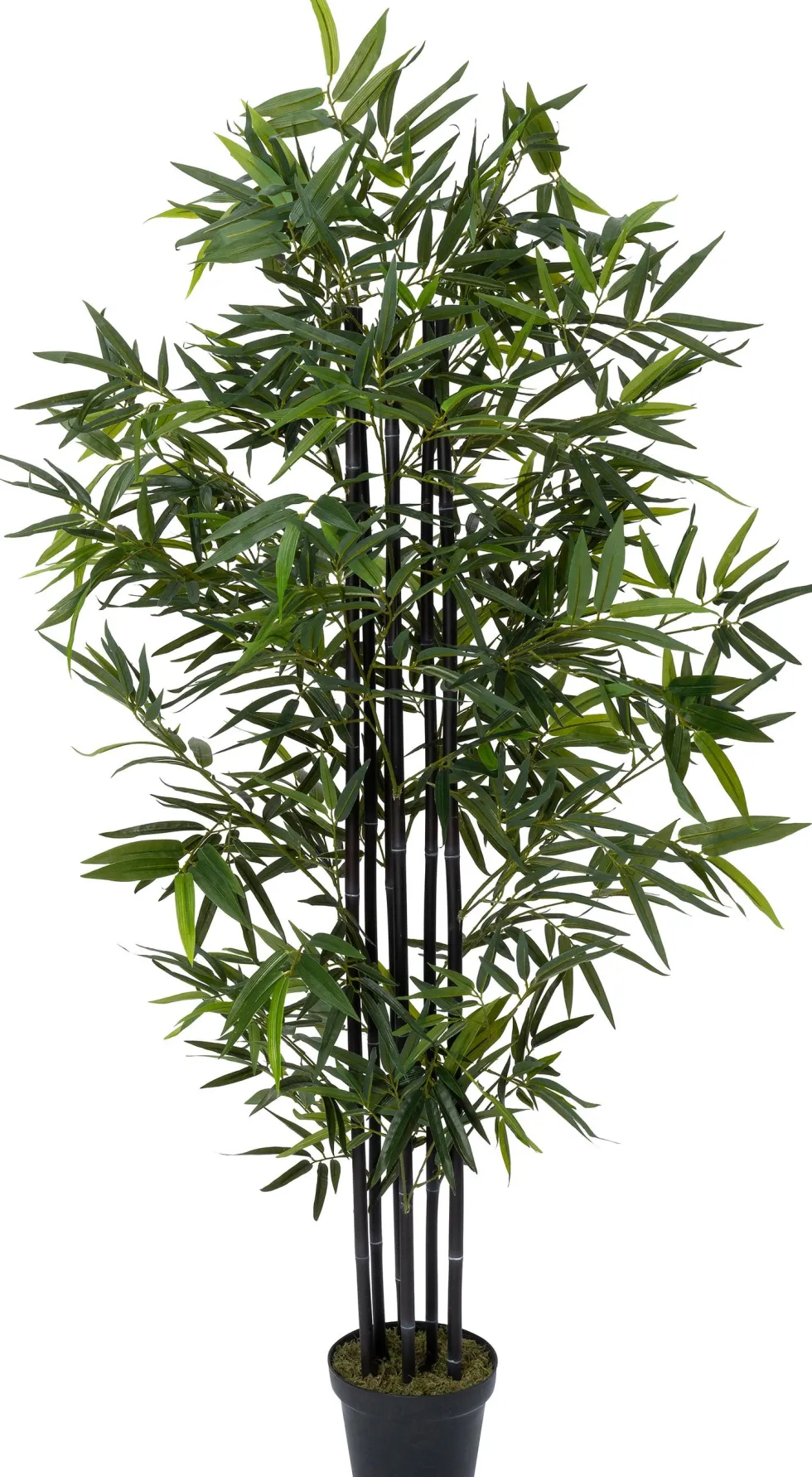 Intratuin kunstplant Zwarte bamboe zwart D 20 H 170 cm