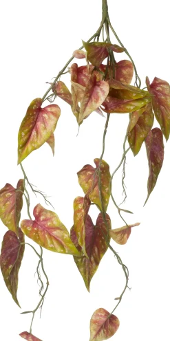 Intratuin kunsttak Caladium groen / roze H 91 cm