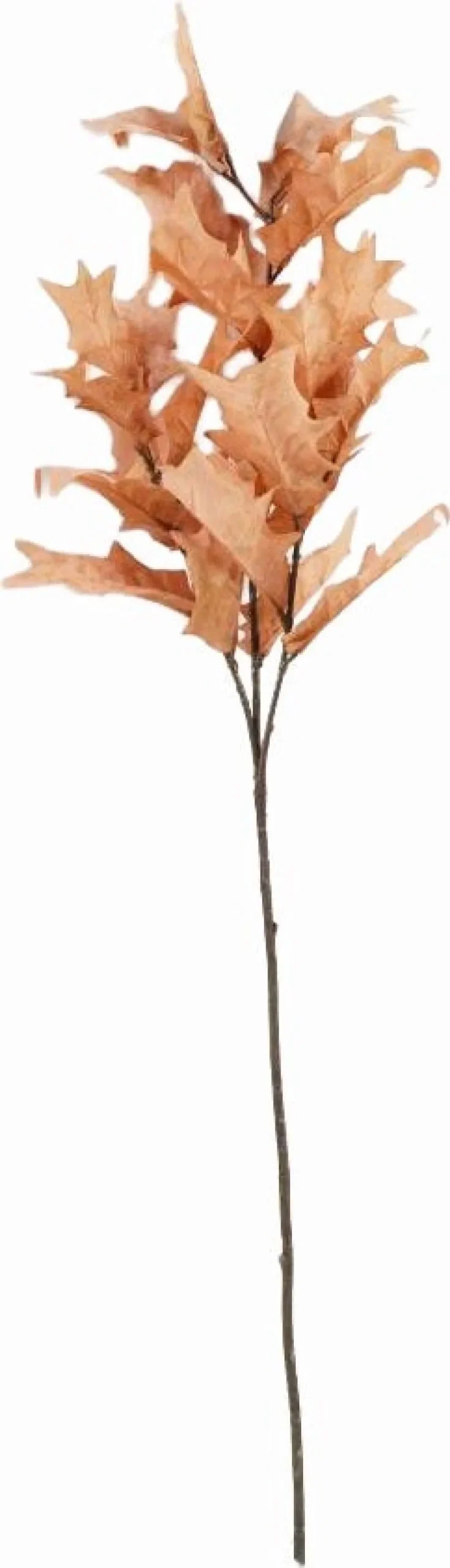 Intratuin kunsttak Eik bruin H 91 cm