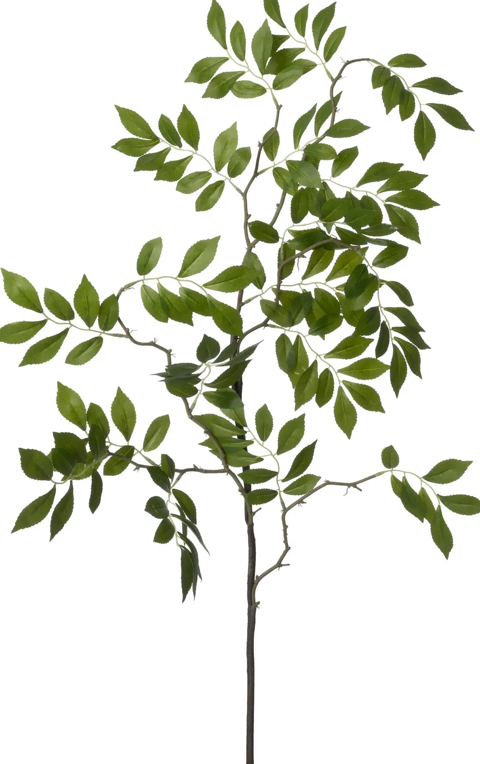 Intratuin kunsttak Es H 150 cm