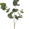 Intratuin kunsttak Eucalyptus H 85 cm