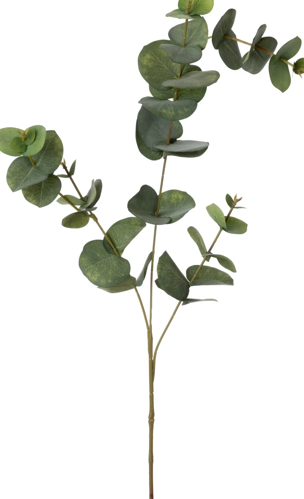 Intratuin kunsttak Eucalyptus H 85 cm