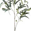 Intratuin kunsttak Eucalyptus H 48,5 cm