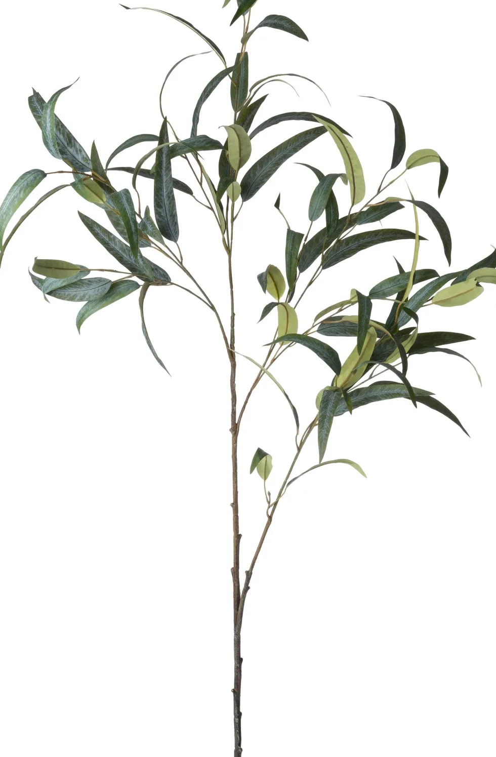 Intratuin kunsttak Eucalyptus H 48,5 cm