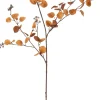 Intratuin kunsttak Eucalyptus oranje H 144 cm