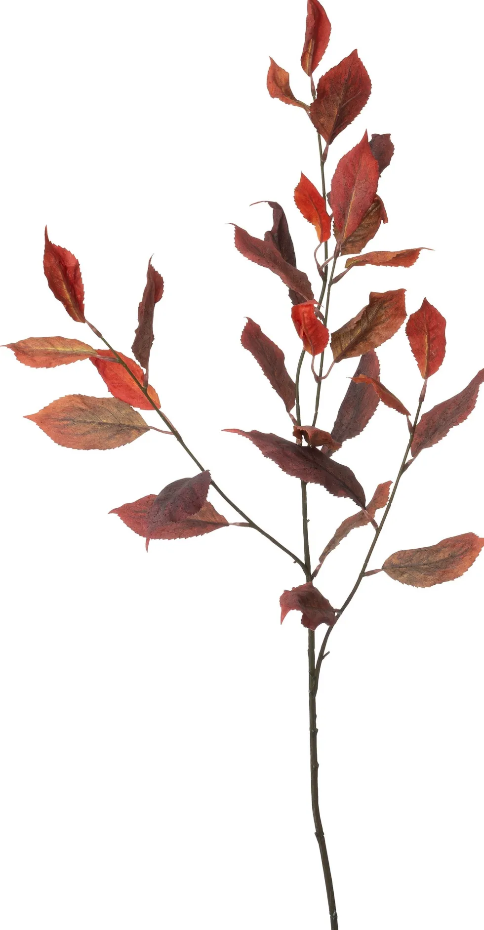 Intratuin kunsttak Eucalyptus geel H 114 cm