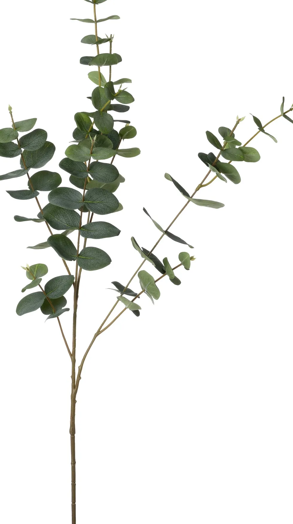Intratuin kunsttak Eucalyptus H 95 cm