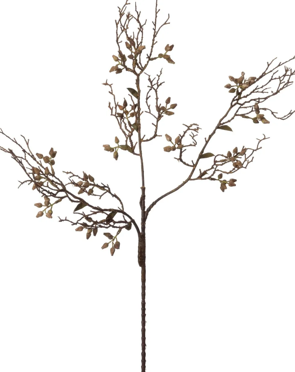 Intratuin kunsttak Eucalyptus bruin H 70 cm