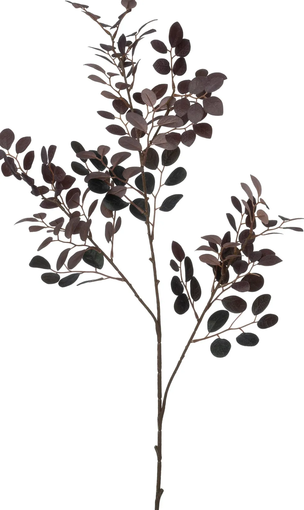 Intratuin kunsttak Eucalyptus bordeaux H 96 cm