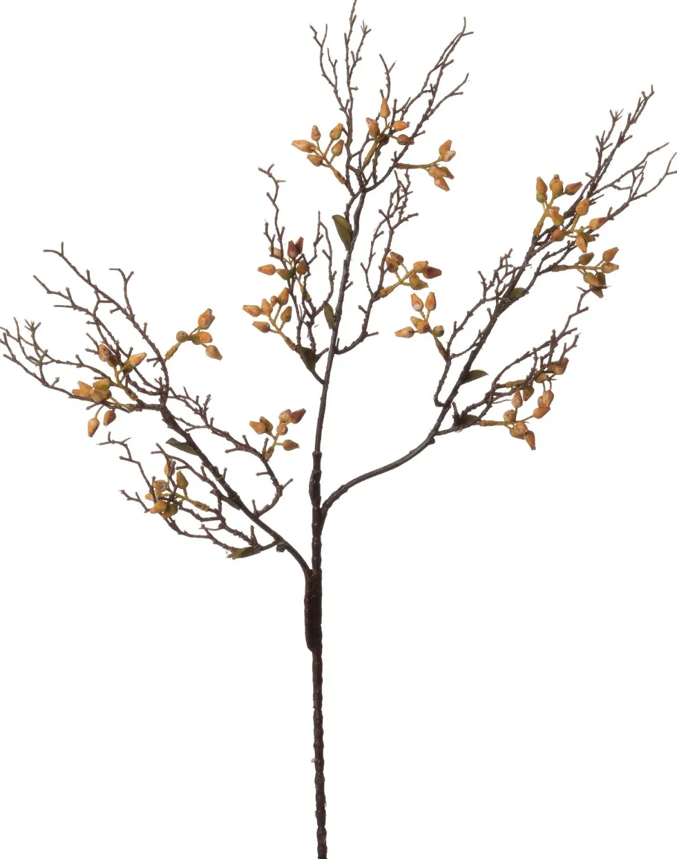 Intratuin kunsttak Eucalyptus geel H 70 cm