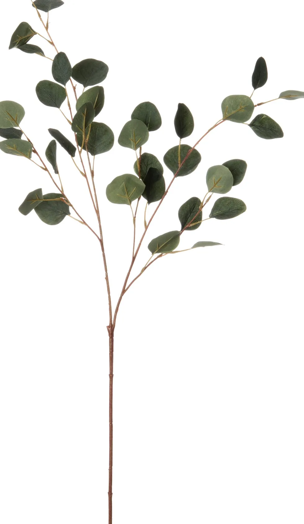 Intratuin kunsttak Eucalyptus H 98 cm