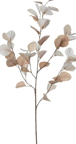 Intratuin kunsttak Eucalyptus wit / bruin H 96 cm