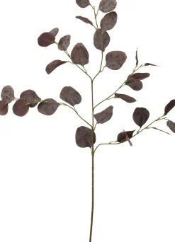 Intratuin kunsttak Eucalyptus rood / paars H 90 cm