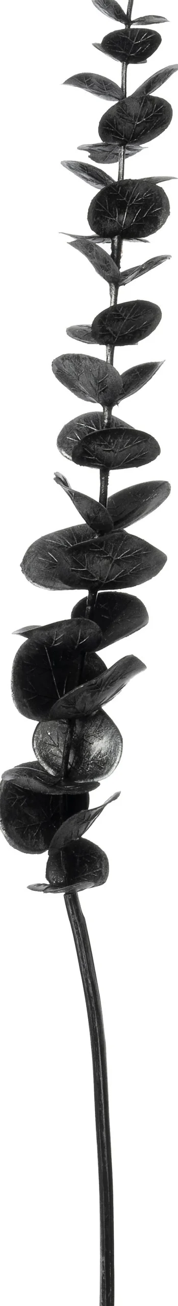 Intratuin kunsttak Eucalyptus zwart H 58 cm